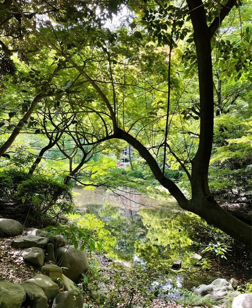 active34さんが投稿した清水谷公園に関する口コミの画像