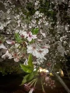 立岡自然公園