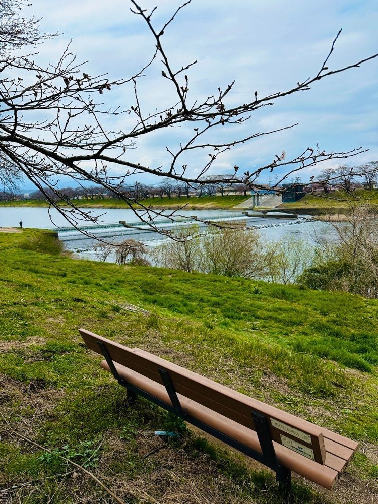 かめ_メグミさんが投稿した大河原河川公園に関する口コミの画像