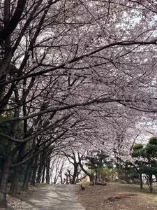 種松山公園西園地