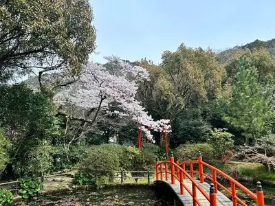 南天苑