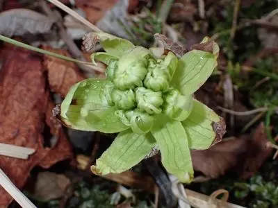 あてび平小鳥の森