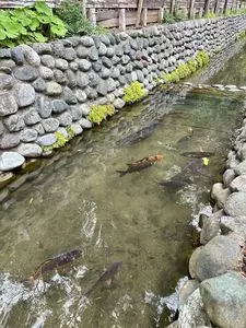 六郷用水