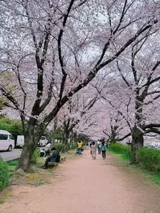 荒手茶寮（あらてさりょう）