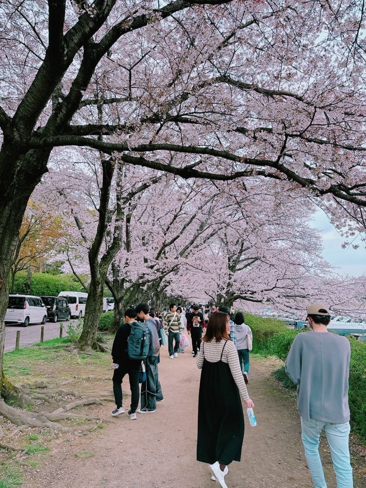 鉄道こまちさんが投稿した荒手茶寮（あらてさりょう）に関する口コミの画像