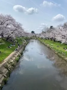 新境川堤