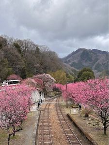 神戸駅（わたらせ渓谷鐵道） 2枚目
