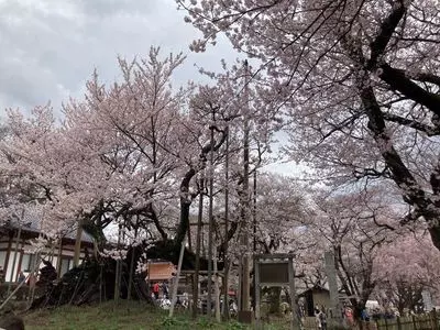 実相寺