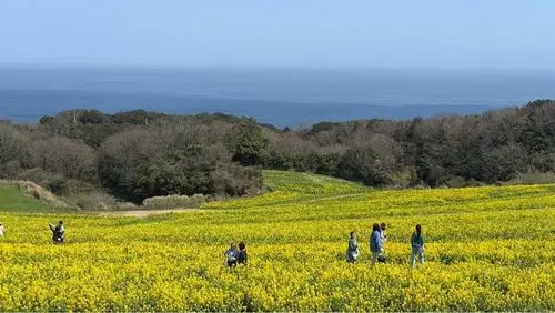 あわじ花さじき