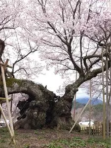 実相寺