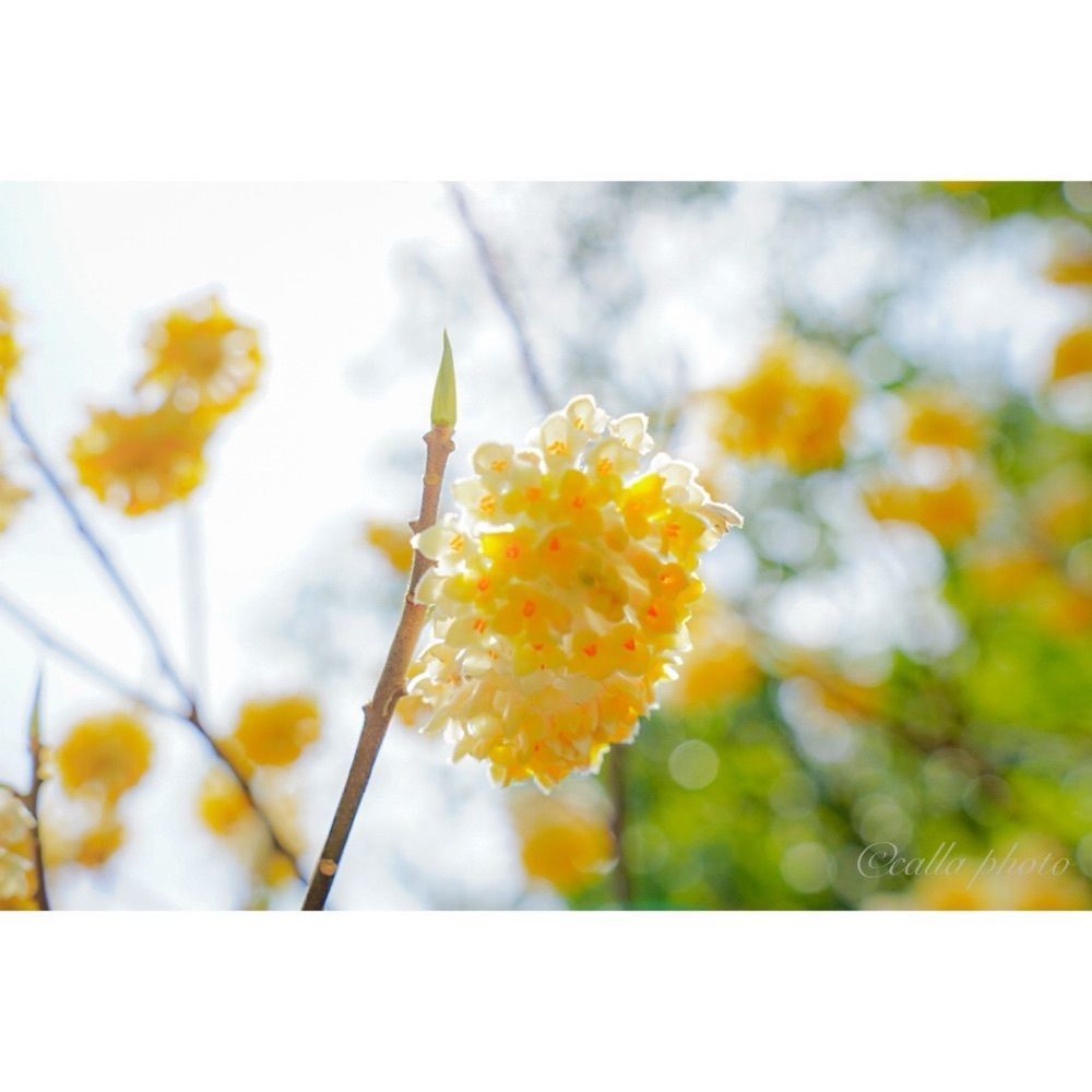 urban_garden_243aさんが投稿した天王山に関する口コミの画像