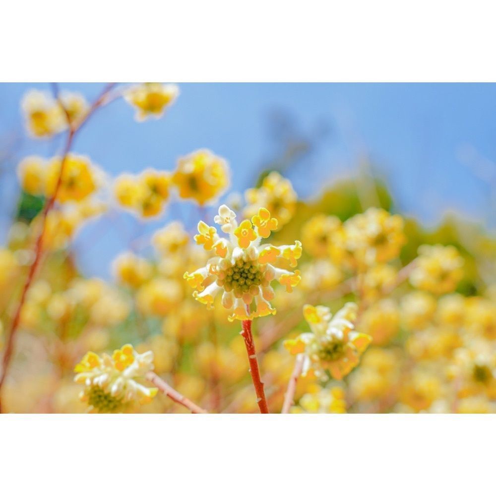 urban_garden_243aさんが投稿した天王山に関する口コミの画像