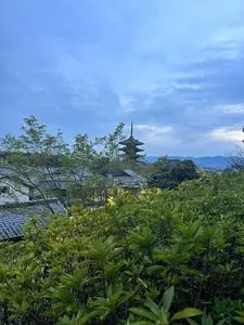 高台寺の桜