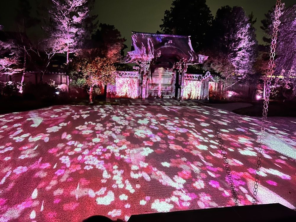 beautiful_garden_e784さんが投稿した高台寺の桜に関する口コミの画像