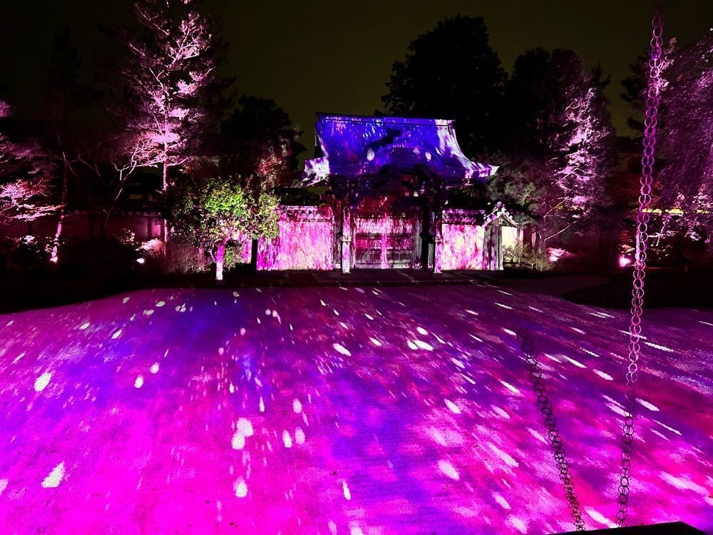 beautiful_garden_e784さんが投稿した高台寺の桜に関する口コミの画像