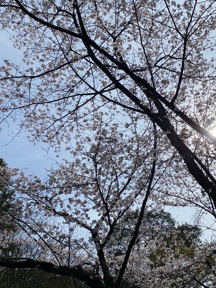としりん🍄さんが投稿した百楽荘に関する口コミの画像