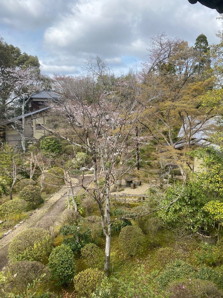 としりん🍄さんが投稿した百楽荘に関する口コミの画像