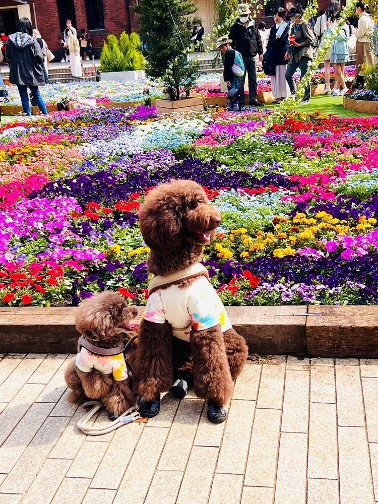 ビンカさんが投稿したSouvenir Gallery YOKOHAMAに関する口コミの画像