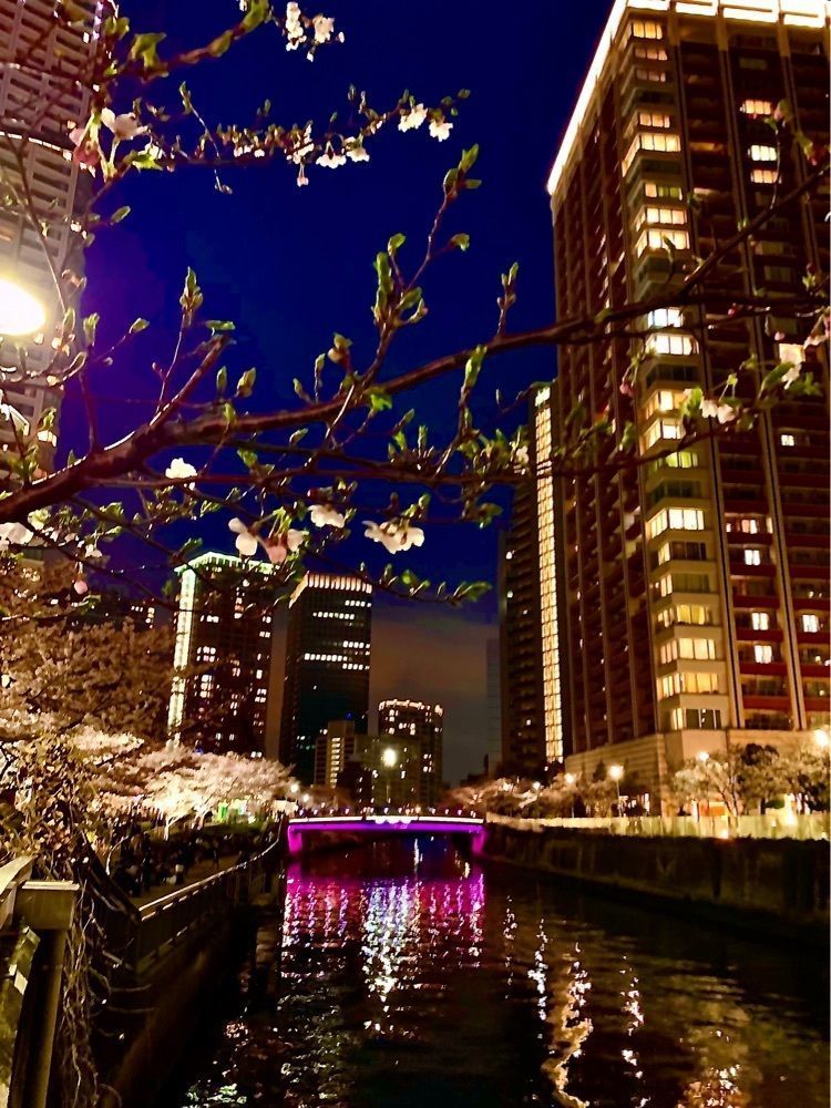 ＪＵNさんが投稿した五反田ふれあい水辺広場に関する口コミの画像