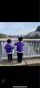 鶴生田川のさくら