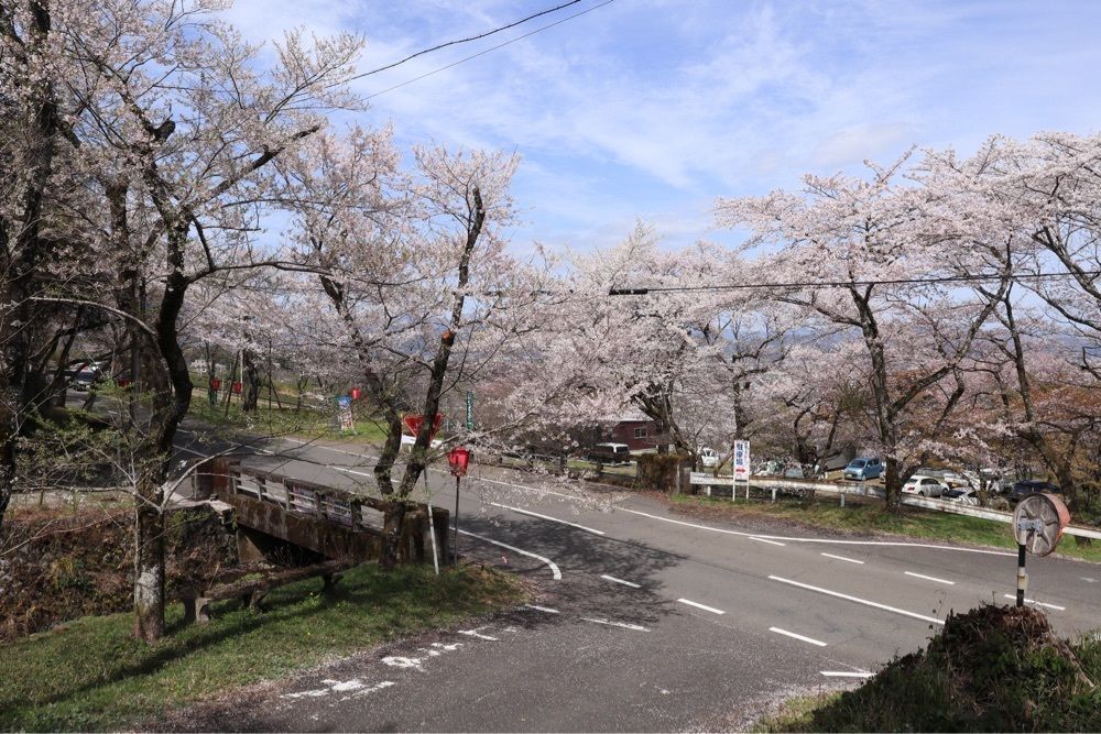 でぃーごさんが投稿した霞間ケ渓（サクラ）に関する口コミの画像