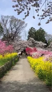 慈眼寺（山梨県笛吹市）