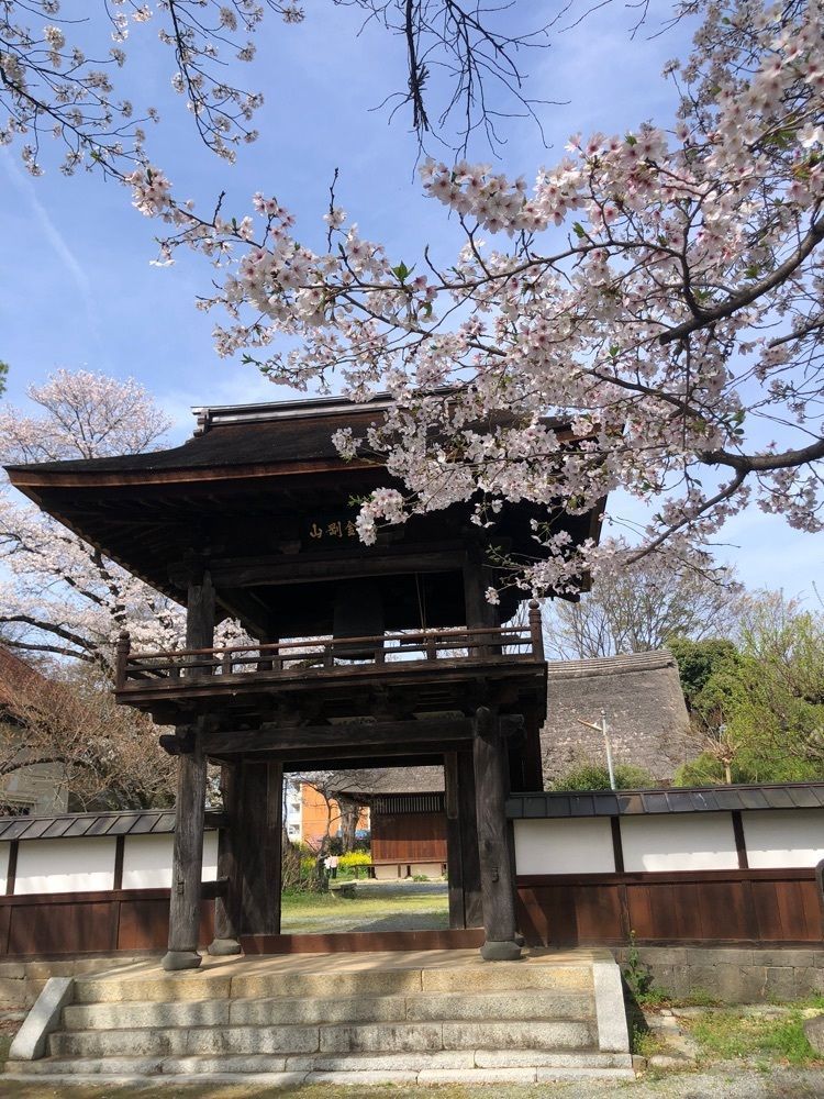 take.aさんが投稿した慈眼寺（山梨県笛吹市）に関する口コミの画像