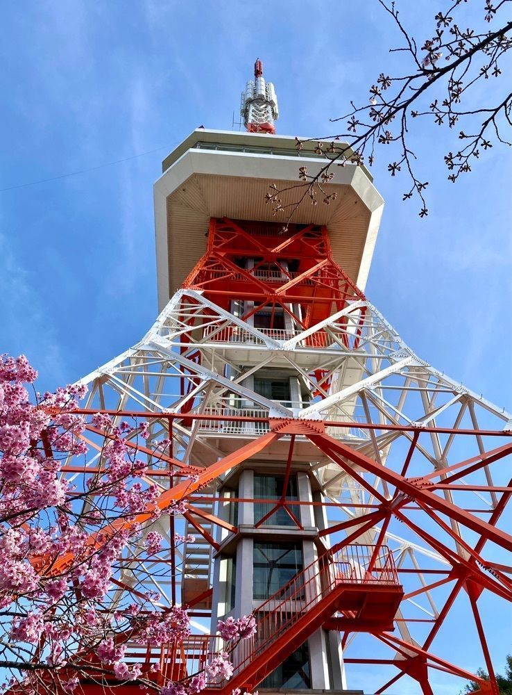 calm_gift_1030さんが投稿した宇都宮タワー（八幡山公園内）に関する口コミの画像
