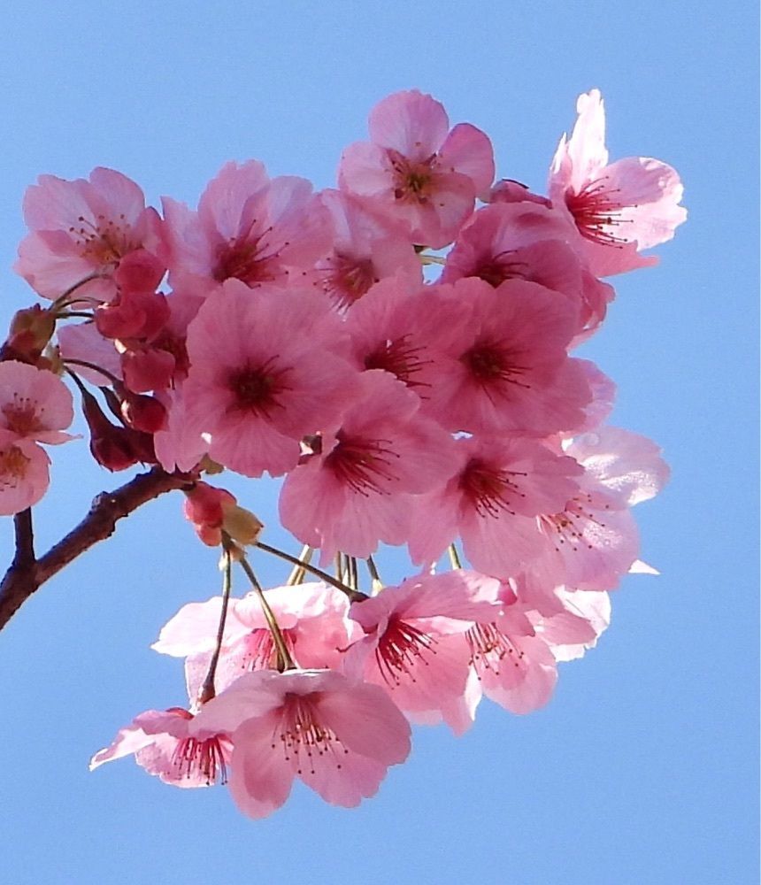 calm_gift_1030さんが投稿した宇都宮タワー（八幡山公園内）に関する口コミの画像