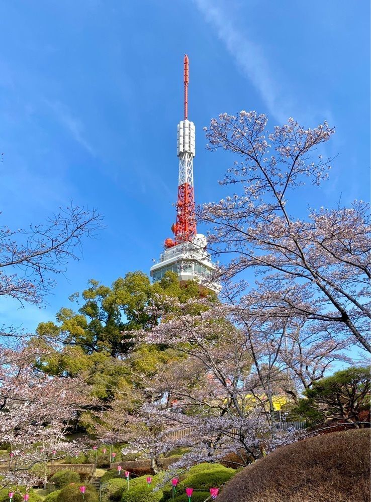 calm_gift_1030さんが投稿した宇都宮タワー（八幡山公園内）に関する口コミの画像