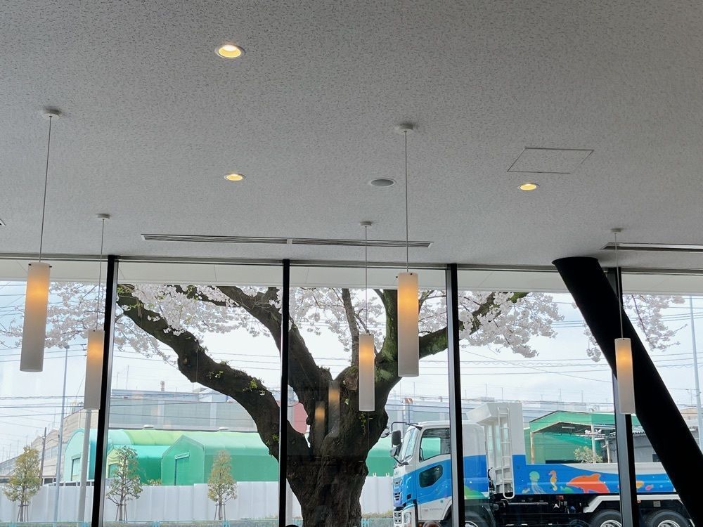 Yukiさんが投稿したサクラカフェ（SAKURA Cafe）に関する口コミの画像
