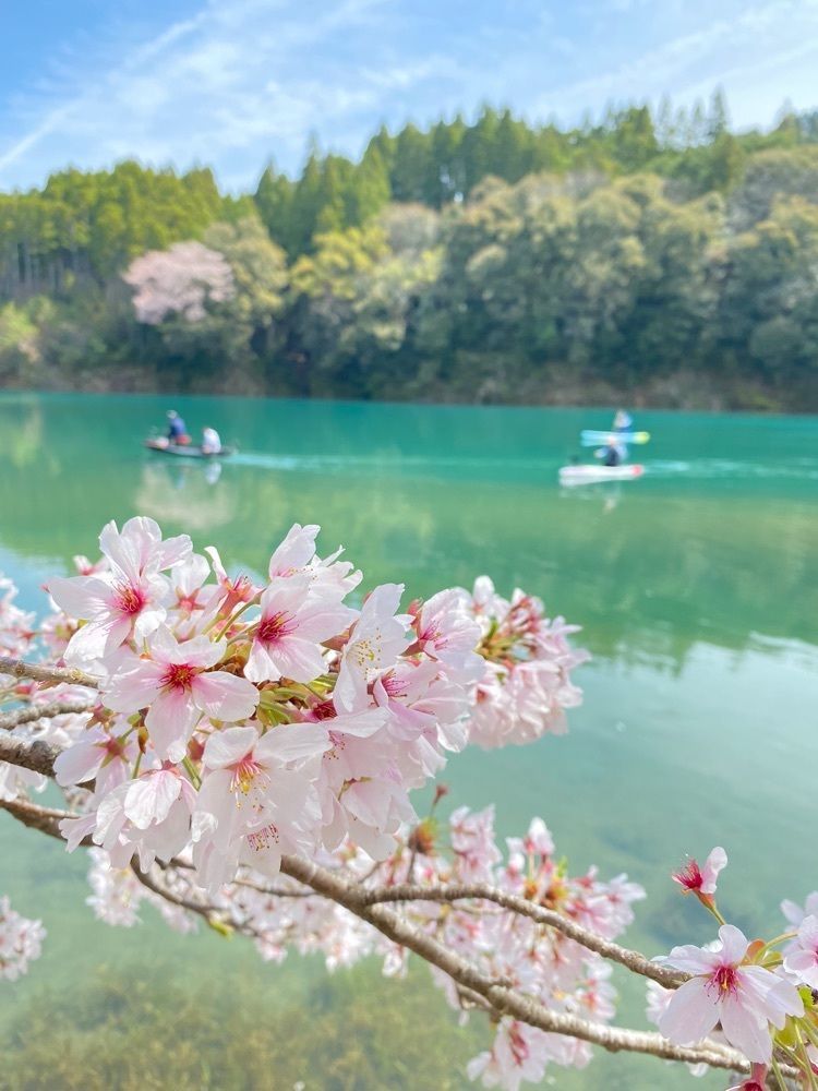 ももさんが投稿した大台町Ｂ＆Ｇ海洋センターに関する口コミの画像