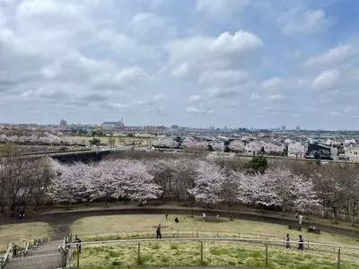牧の原公園