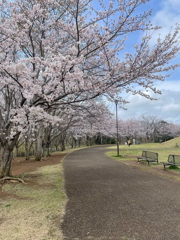 powerful_gift_4f3aさんが投稿した牧の原公園に関する口コミの画像