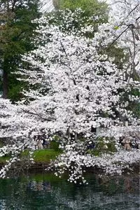 吉祥寺オデヲン