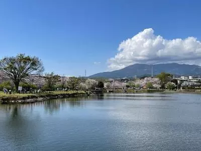 門池