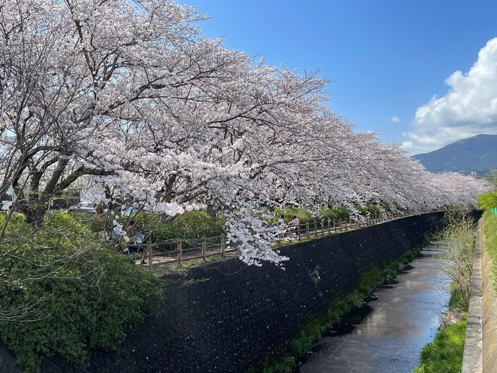 ぱっつんさんが投稿した門池に関する口コミの画像