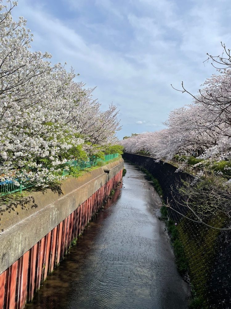 ぱっつんさんが投稿した門池に関する口コミの画像