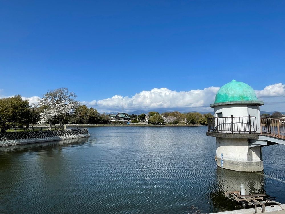 ぱっつんさんが投稿した門池に関する口コミの画像
