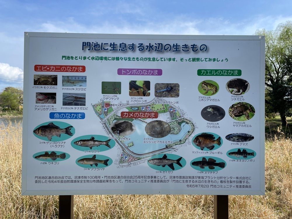 ぱっつんさんが投稿した門池に関する口コミの画像