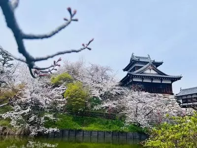 郡山城跡（大和郡山市）