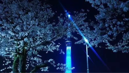 タリーズコーヒー 隅田公園店