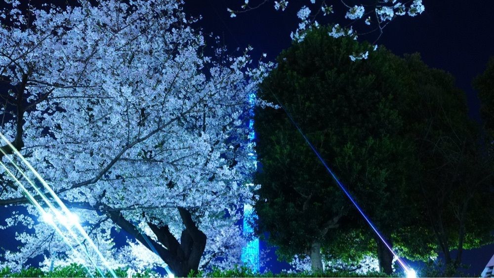 jamesさんが投稿したタリーズコーヒー 隅田公園店に関する口コミの画像