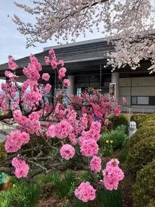 釈迦堂遺跡博物館