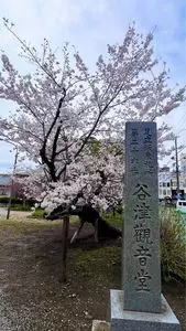谷津観音堂