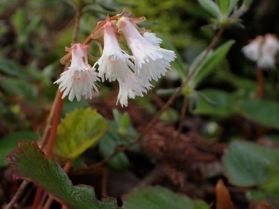 バードピア浜北 2枚目