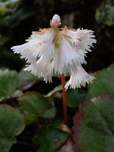 バードピア浜北 3枚目