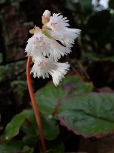 バードピア浜北 4枚目