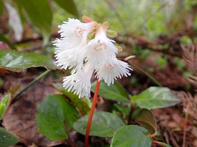 バードピア浜北 5枚目