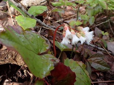 バードピア浜北 6枚目